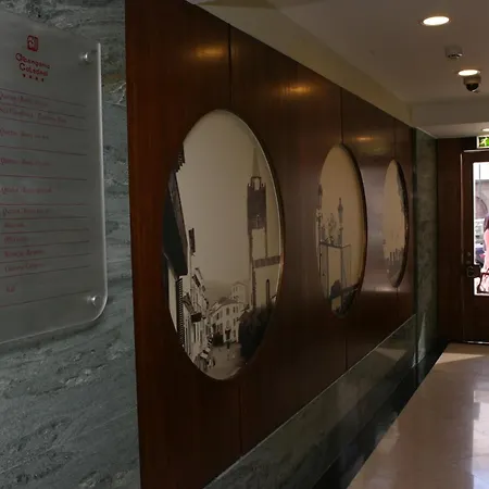 酒店 大教堂酒店 丰沙尔